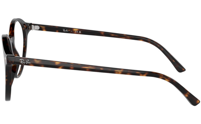 RAY-BAN RX5430 - 2012 - 2