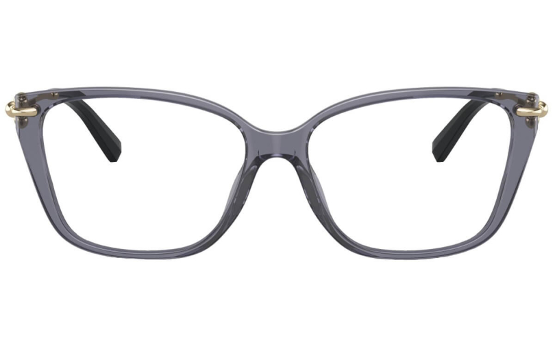 TIFFANY & CO. TF2248K - 8405 - 3