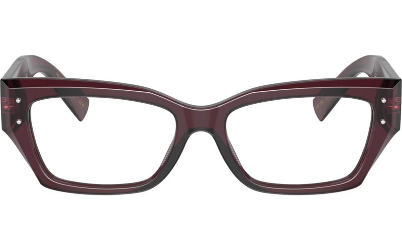 DOLCE & GABBANA DG3387 - 3045 - 3