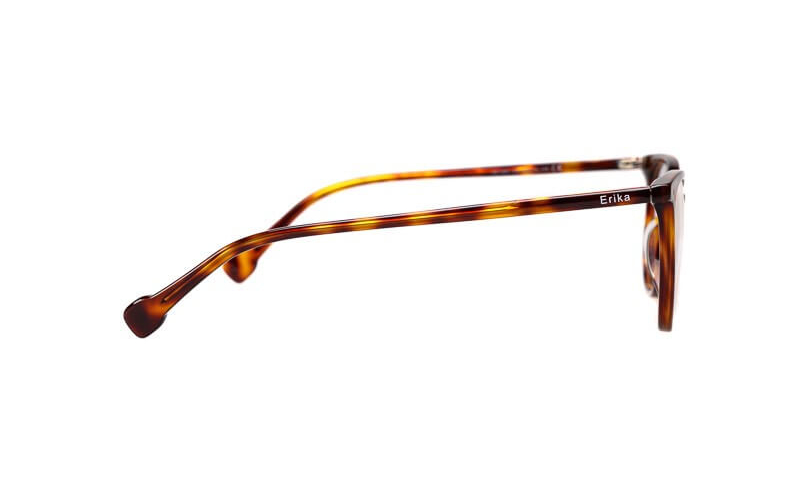 ERIKA A21527 - C2 - 2