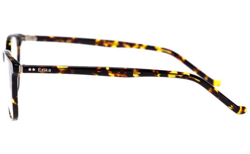 ERIKA A21509 - C2 - 2