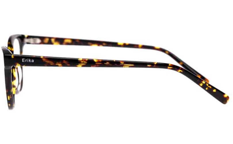 ERIKA A22808 - C2 - 2