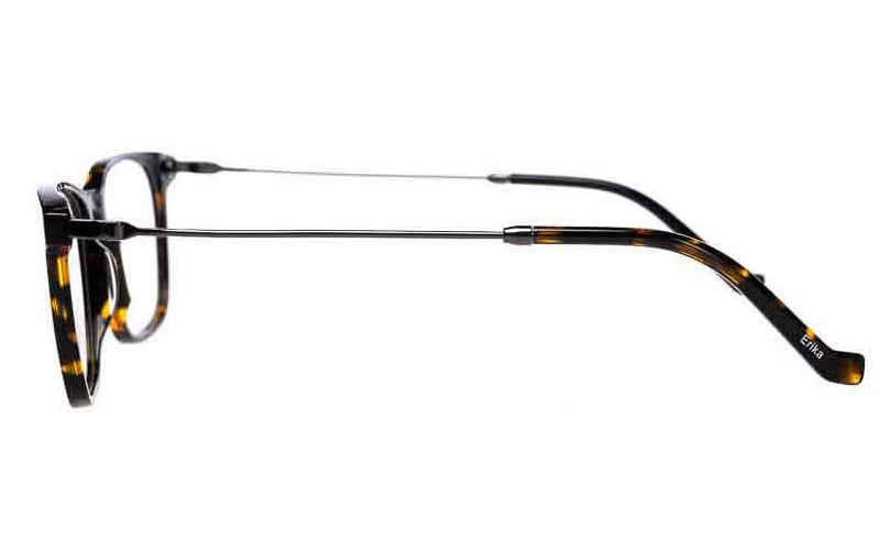 ERIKA A23308 - C2 - 2