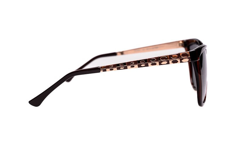 POLARD TS043 - C5 - 2 - Skyoptic.ro POLARD TS043 - C5 - 2