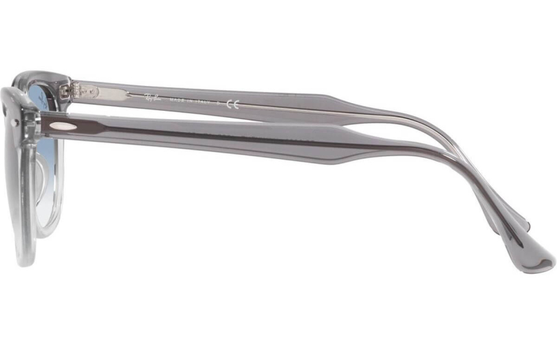 RAY-BAN RB2298 - 13553F - 2