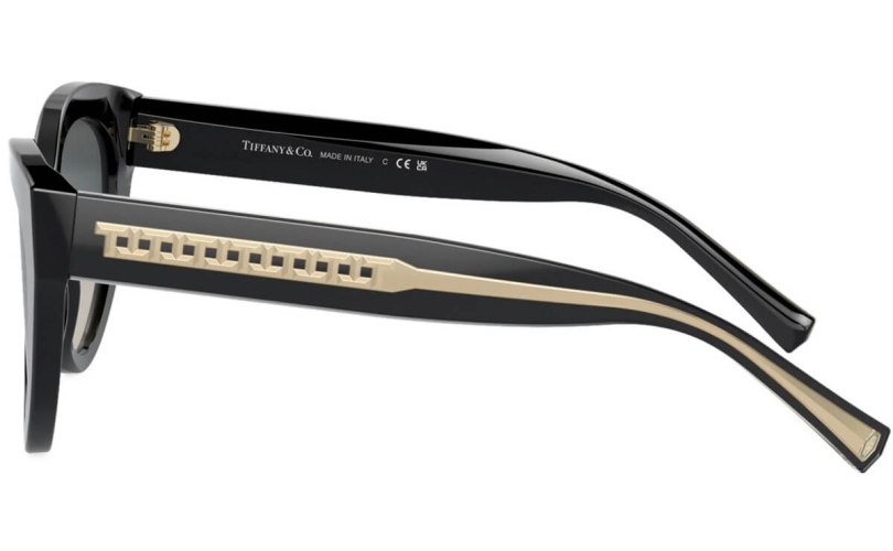 TIFFANY & CO. TF4220 - 800171 - 2