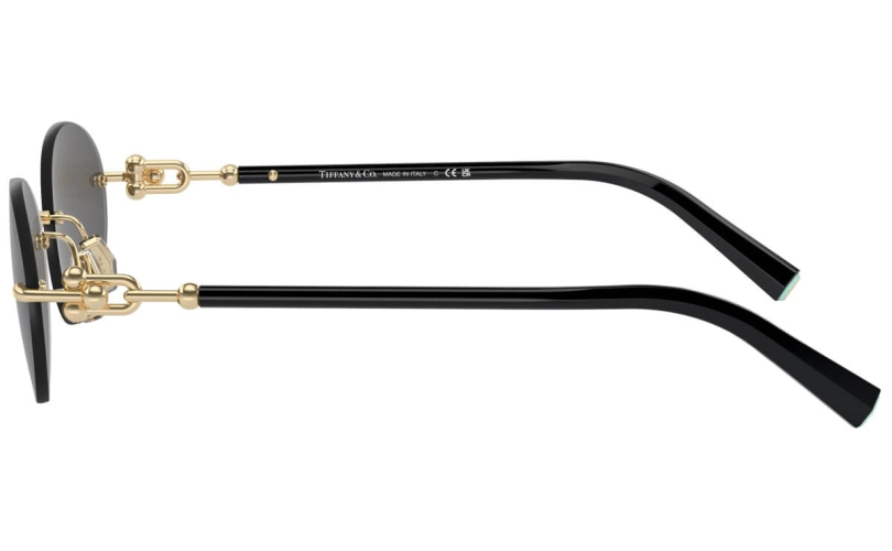 TIFFANY & CO. TF3104D - 6216S4 - SkyOptic