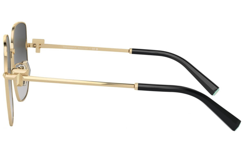 TIFFANY & CO. TF3105D - 6021S4 - 2