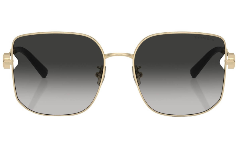 TIFFANY & CO. TF3105D - 6021S4 - 3