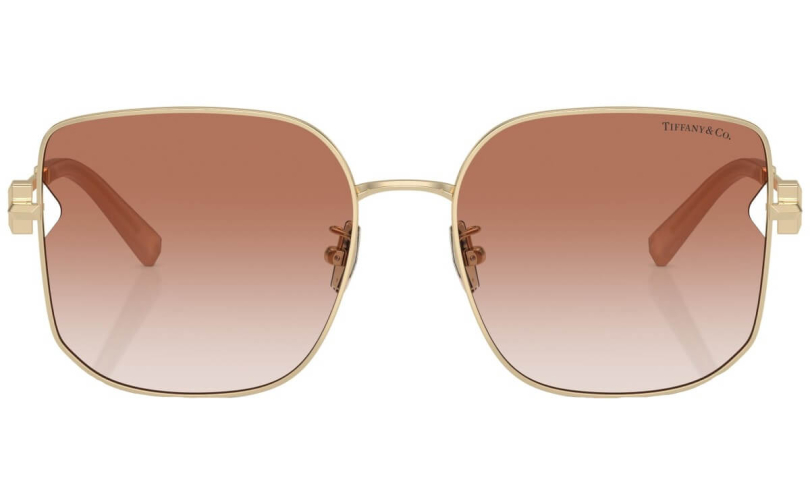 TIFFANY & CO. TF3105D - 616113 - 3
