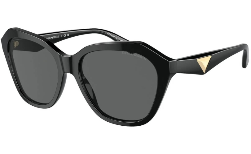 EMPORIO ARMANI EA4221 - 501787