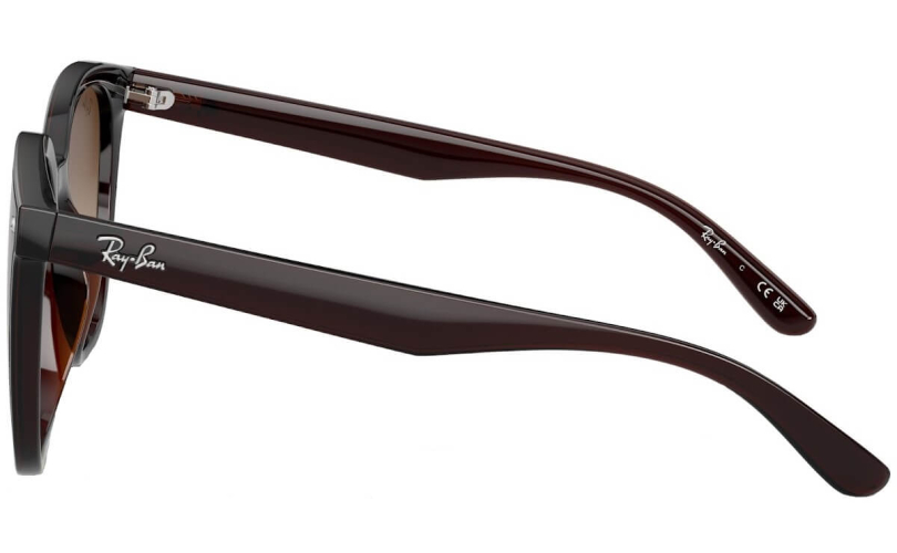 RAY-BAN RB4423D - 714/13 - 2