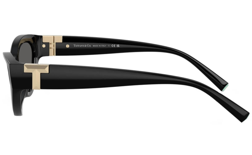 TIFFANY & CO. TF4225U - 8001S4 - 2