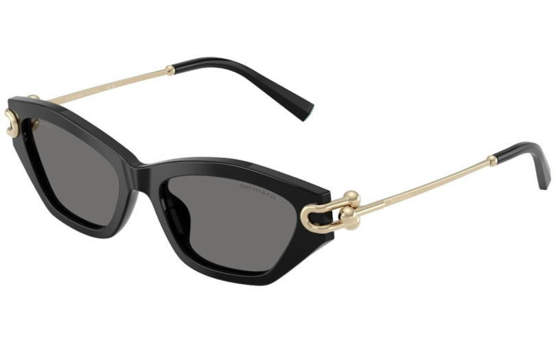TIFFANY & CO. TF4231U - 800181