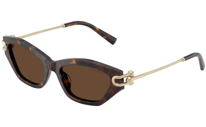 TIFFANY & CO. TF4231U - 80153G