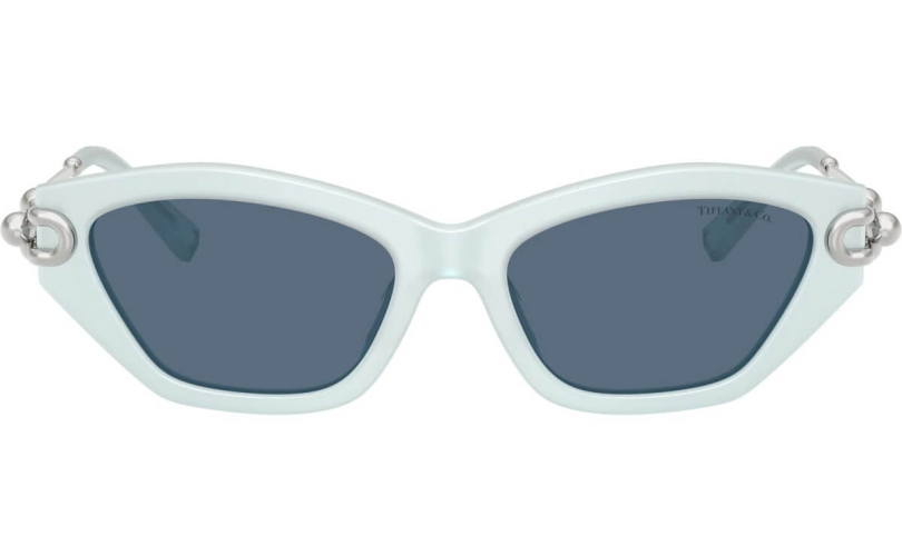 TIFFANY & CO. TF4231U - 843680 - 3