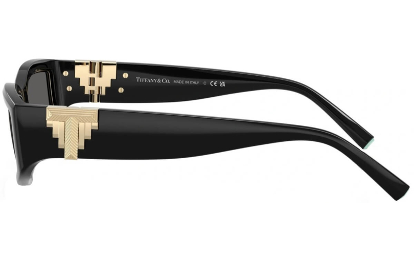 TIFFANY & CO. TF4234U - 8001S4 - 2