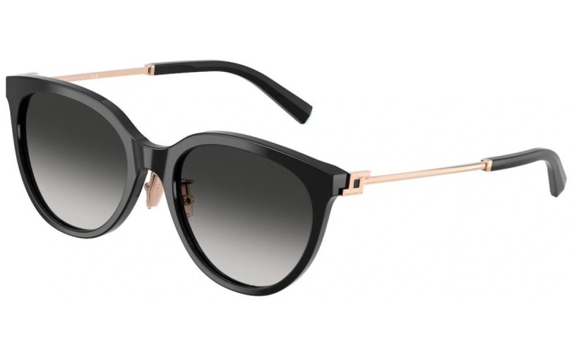 TIFFANY & CO. TF4243D - 80013C