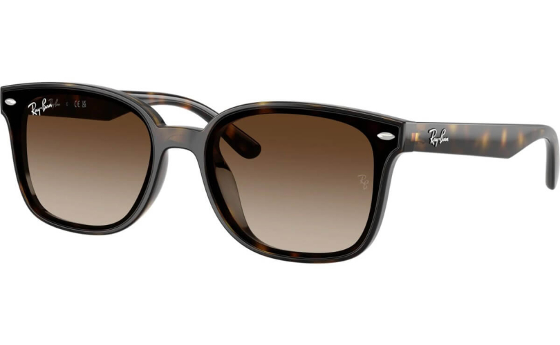 RAY-BAN RB4461D - 710/13