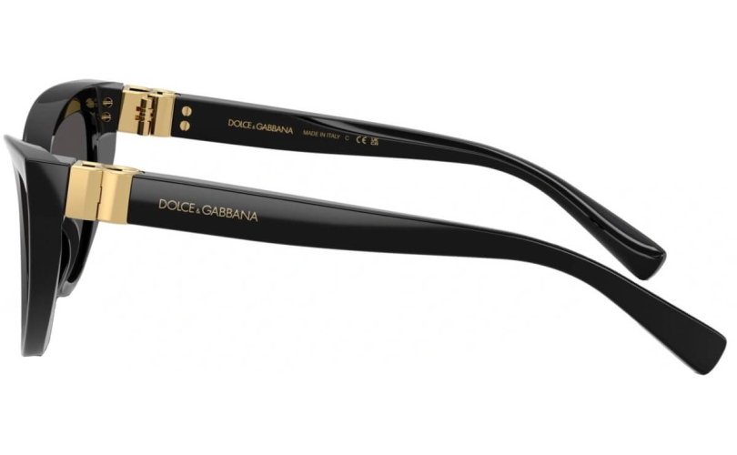 DOLCE & GABBANA DG4497 - 501/87 - 2