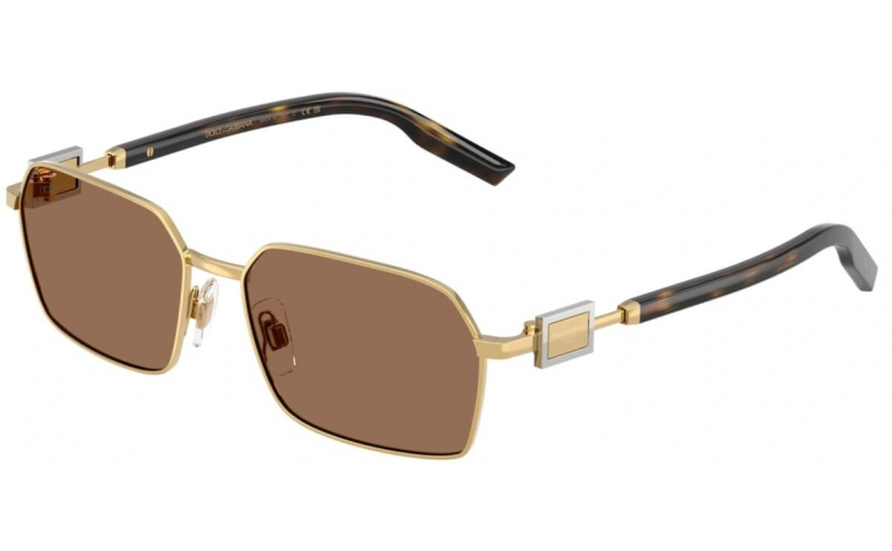 DOLCE & GABBANA DG2316 - 02/73
