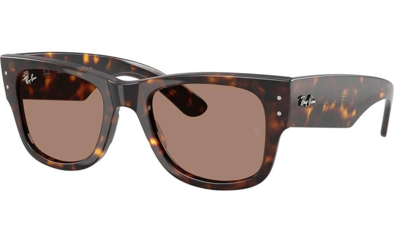 RAY-BAN RB0840S - 902/1A