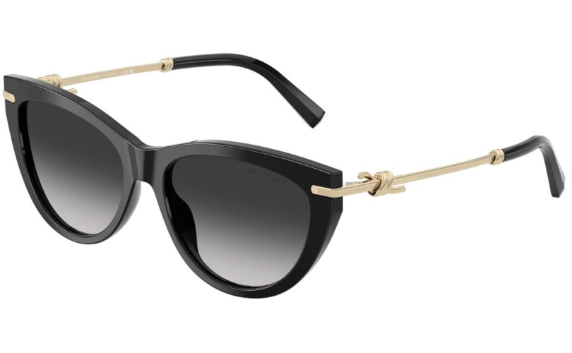 TIFFANY & CO. TF4253 - 80013C