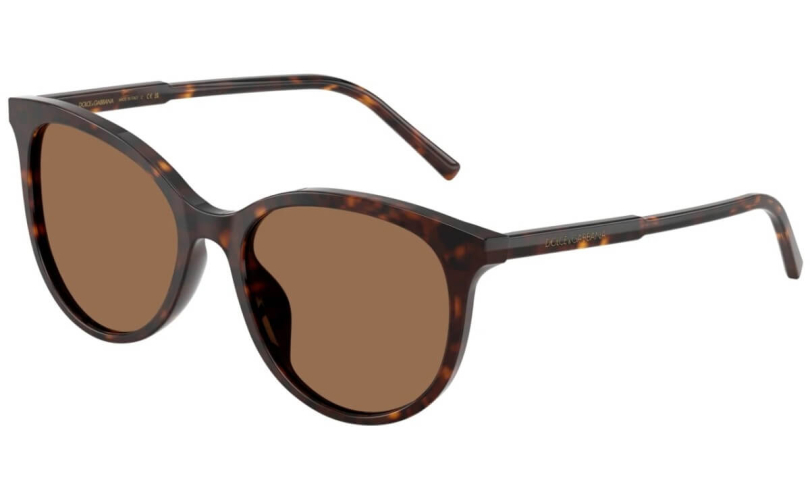 DOLCE & GABBANA DG4540 - 502/13