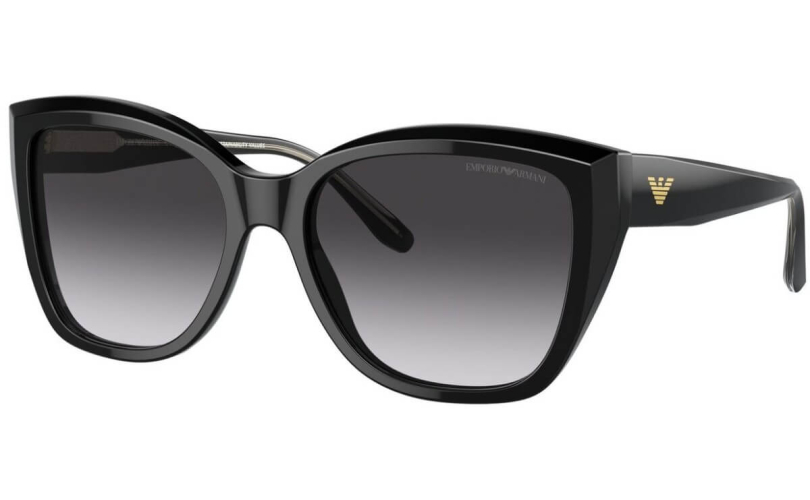 EMPORIO ARMANI EA4198 - 50178G