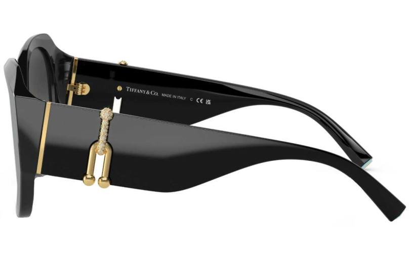 TIFFANY & CO. TF4207B - 80013C - 2