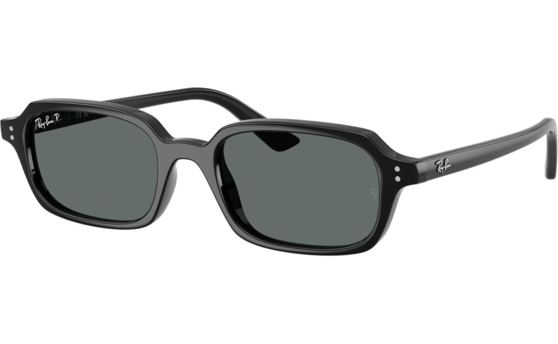 RAY-BAN RB4455 - 667781