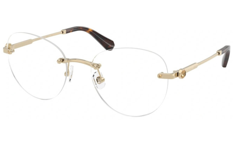 SWAROVSKI SK1021 - 4013 - 1