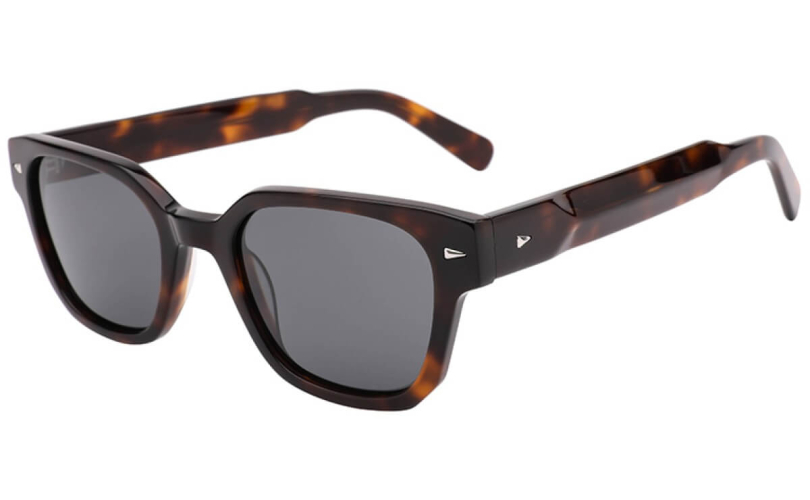 POLARD WD1598PS - C2 - 1