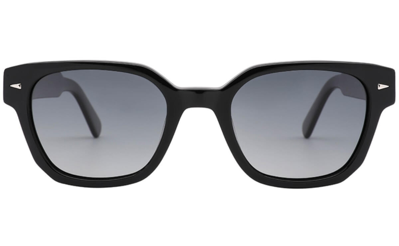 POLARD WD1598PS - C4 - 2