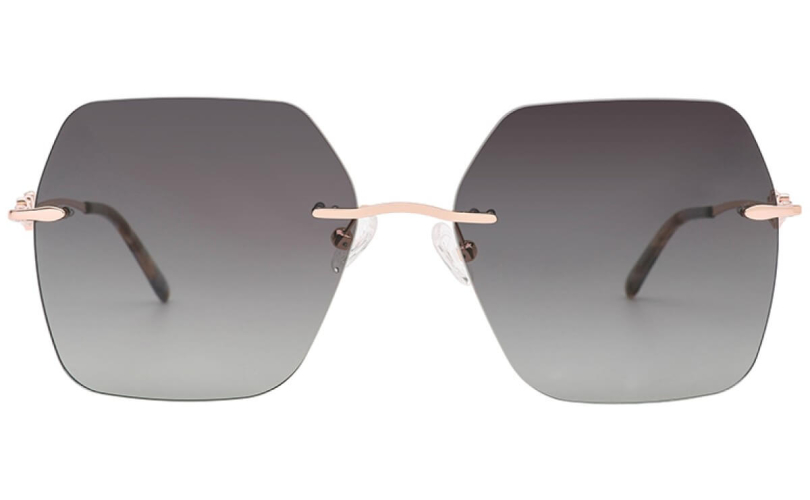 POLARD TS5002 - C3 - 2