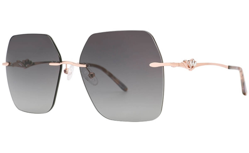 POLARD TS5002 - C3 - 1