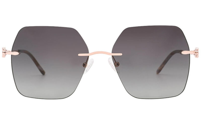 POLARD TS5010 - C3 - 2