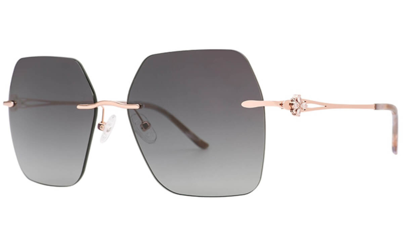 POLARD TS5010 - C3 - 1