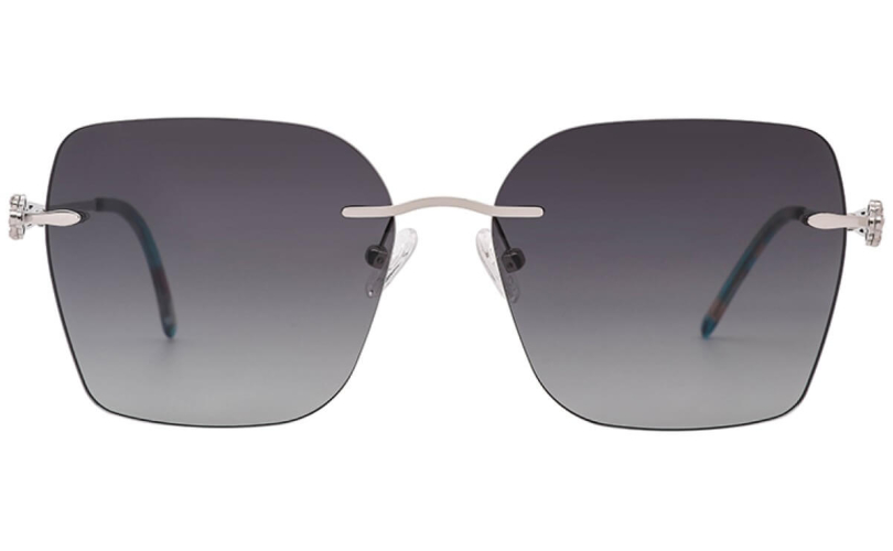 POLARD TS5009 - C2 - 2