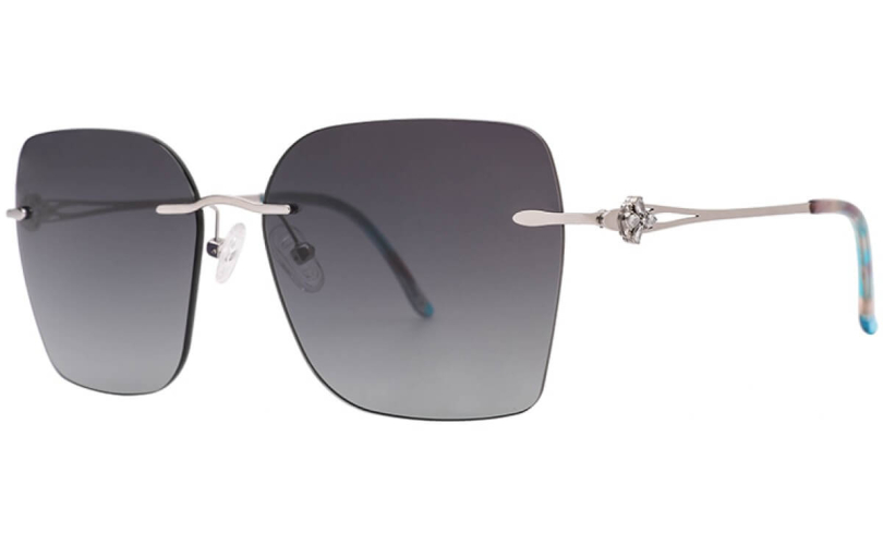 POLARD TS5009 - C2 - 1