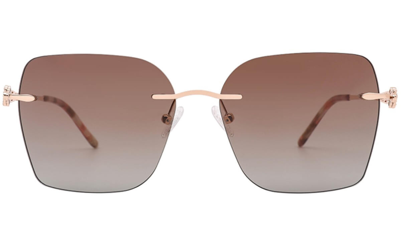 POLARD TS5009 - C4 - 2