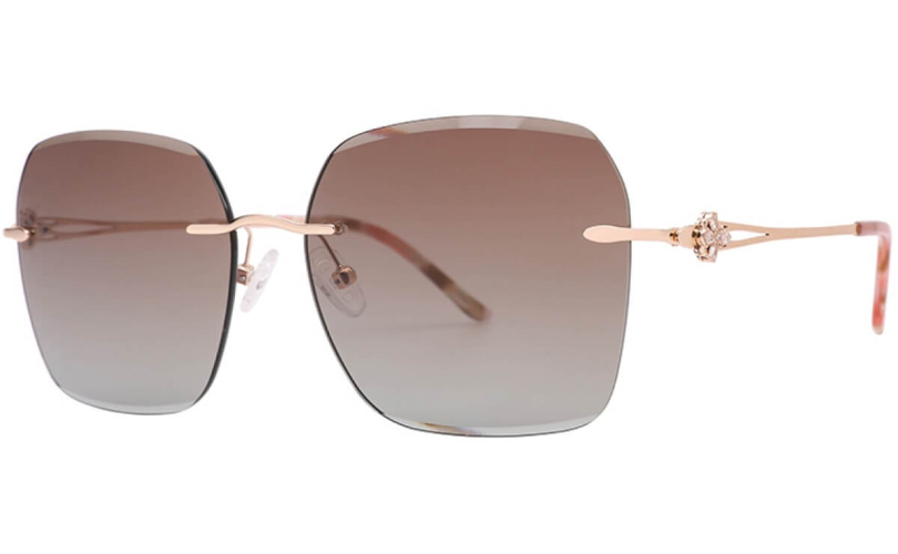 POLARD TS5012 - C4 - 1