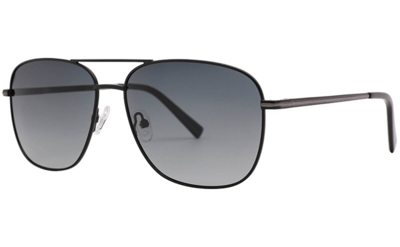 POLARD S5008 - C1 - 1