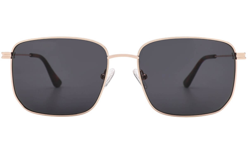 POLARD S6006 - C2 - 2