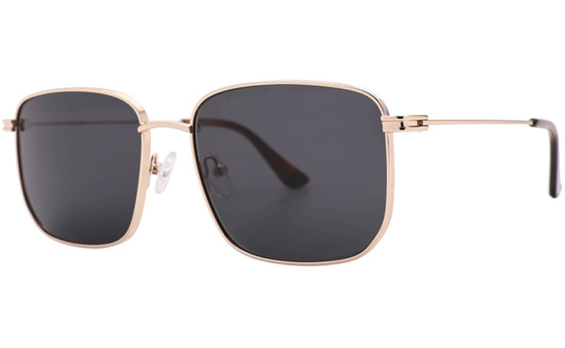 POLARD S6006 - C2 - 1