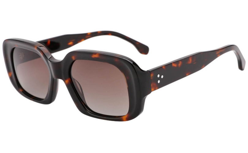 POLARD WD5091 - C2 - 1