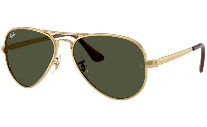 RAY-BAN RB3925 - 001/31 - 1