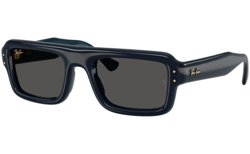 RAY-BAN RB4954 - 689587