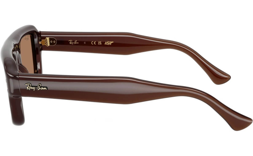 RAY-BAN RB4954 - 689673 - 2