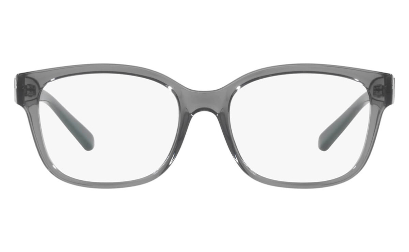 ARMANI EXCHANGE AX3098 - 8242 - 3